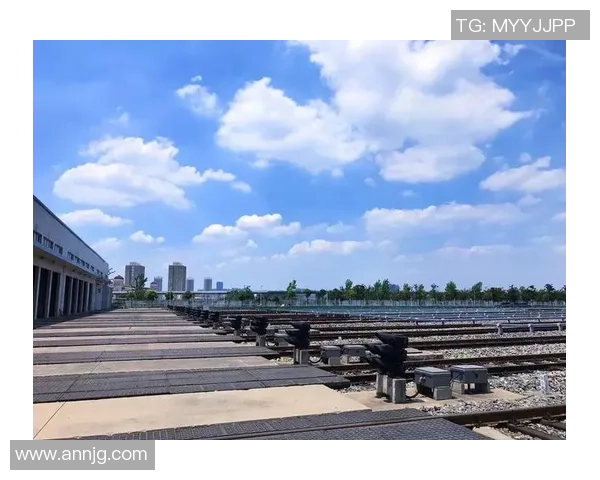 武汉排球队的奋斗与荣耀之路杯赛特别报道